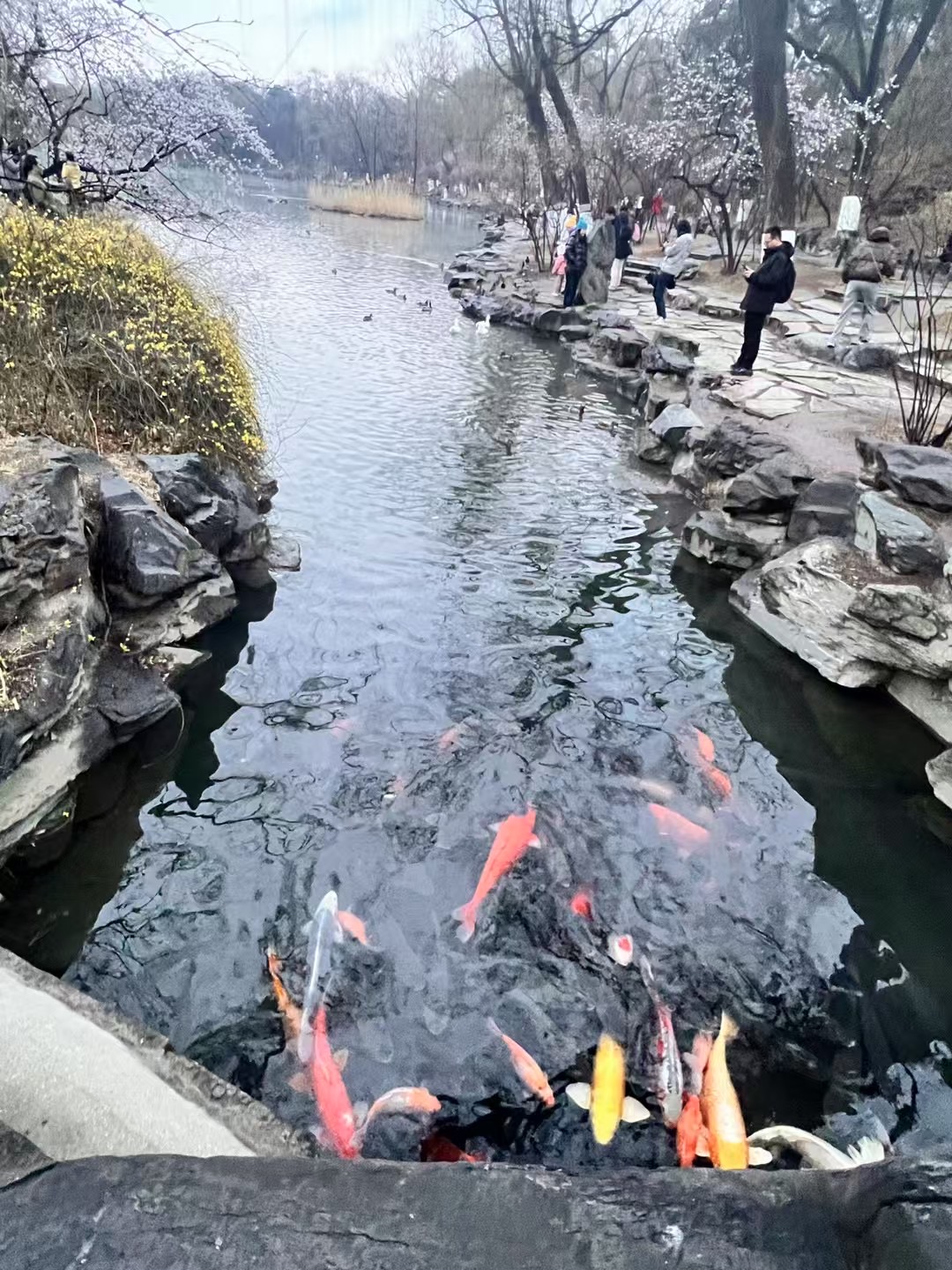 参观学习 - 听取介绍